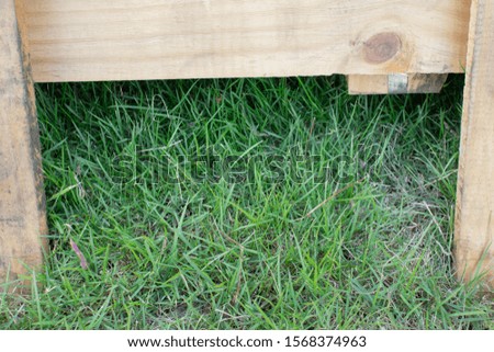 pallet wood frame and grass