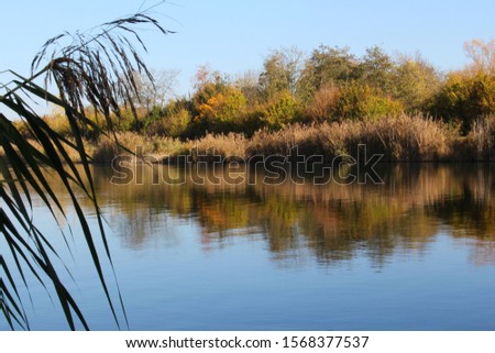 Lake shoreline reflecting in the water with blue sky with sea grass in foreground, focus on background