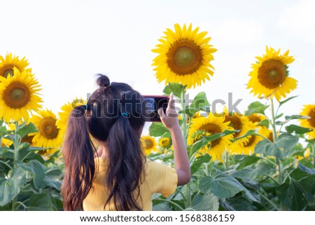 Asian little girl used mobile phone to take pictures of sunflower field.