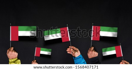 Hands holds flags of United Arab Emirates on dark background