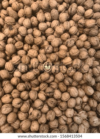 Walnuts in-shell with and without shells with heart shaped nut in the middle of the picture. Background of fresh greek nuts top view. Natural healthy nutritious ecology food. Raw walnuts closeup.