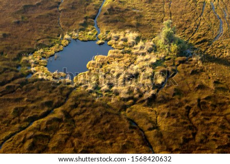 Aerial view, Okavango Delta, Botswana, Africa.