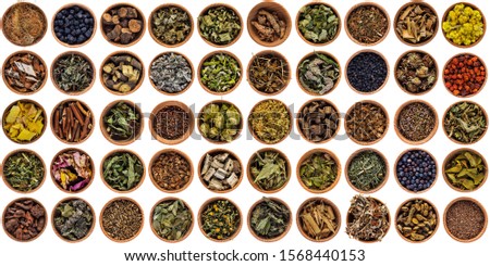 Many different medicinal dry herbs in round wooden bowls on a white background.