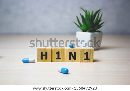 Swine flu H1N1 disease on wooden cubes, background. Selective focus. Medical concept. Royalty-Free Stock Photo #1568492923