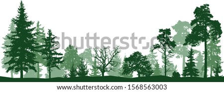Tree forest vector silhouette. Isolated set