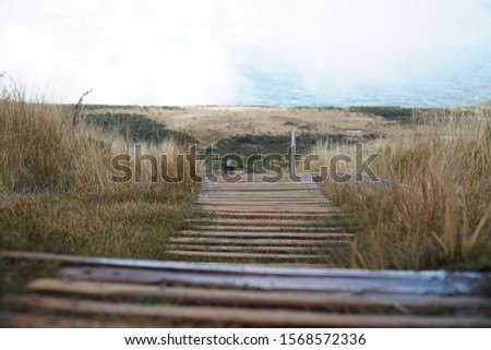 close up picture of picture of a wooden path on the mount taranaki trail in new zealand