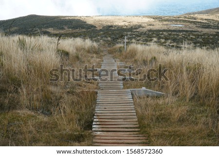 picture of a wooden path on the mount taranaki trail in new zealand