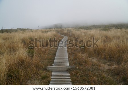 picture of a wooden path on the mount taranaki trail in new zealand, foggy weather
