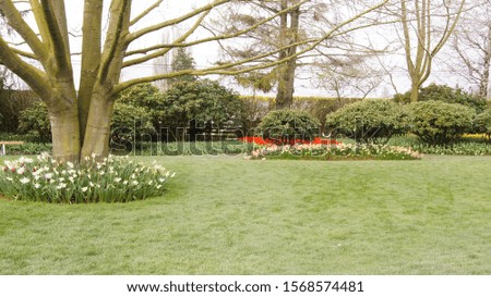 Beautiful green lawn on a background of trees and flowers