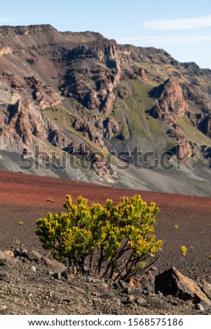 View of the colorful mountains and smaller craters from the sliding sands trail inside the Haleakala Volcano. Shot inside the Haleakala Crater on the island of Maui, Hawaii USA.