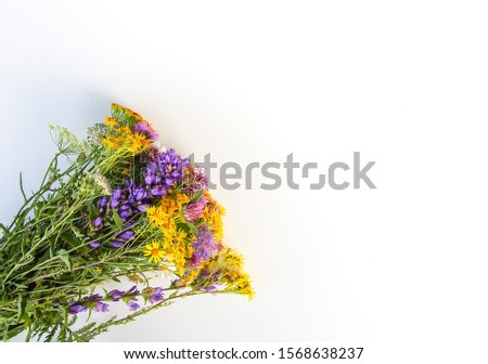 Summer medical herbs bunch on white background. Bouquet of tansy and thorny burdock wild flowers