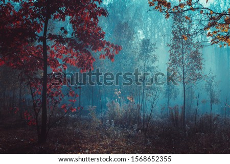 Fairy Mysterious Forest. Mystical atmosphere. Paranormal another world. Fairytale. Stranger forest in a fog. Dark scary park with red leaves. Background wallpaper.