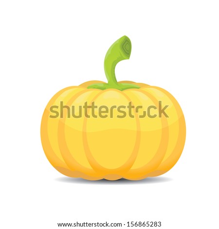 Pumpkin isolated on white background. Realistic vector illustration.