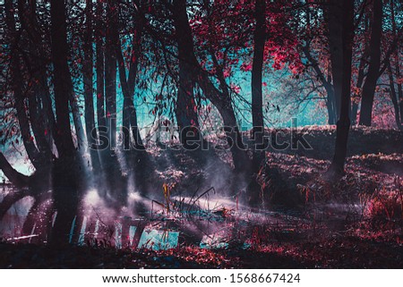 Mystical Dark Forest Wallpaper Stock Photos And Images Avopix Com 2,401 free images of mystical dark. avopix com