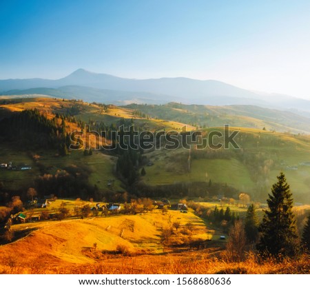 Beautiful sunny day in picturesque mountain landscape. Location place of Carpathian mountains, Ukraine, Europe. Image of attractive summer scene, nature wallpapers. Discover the beauty of earth.