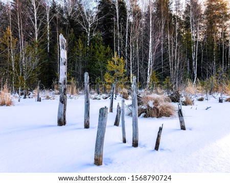 Winter nature landscapes of Winterfell