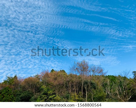 Rare and beautiful white clouds formed in the radiant blue sky, giving a wonderful contrast. Beautiful day in the mountains of Japan, in the city of Mie Prefecture, Kameyama. November, fall 2020.