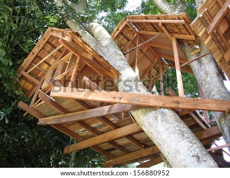 Wooden Tree House