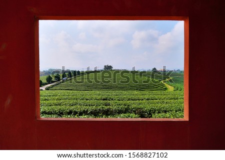 Beautiful Landscape at Choui Fong Tea Plantation a famous travel place in high mountain at Chiang Rai                              Royalty-Free Stock Photo #1568827102