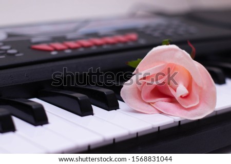 A rose flower lies on the keys of a synthesizer. Romantic perception of music. Love music