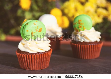 Tasty cupcakes decorated with creamcheese and macaroons outdoors. Easter holidays card. Delicious cupcakes on yellow flower backgrounds. Spring greeting card
