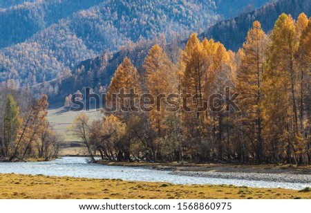 Autumn view, mountain landscape. River and forest on the shore.