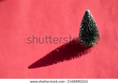 Winter sunlight shines through the Christmas tree causing shadow on red background