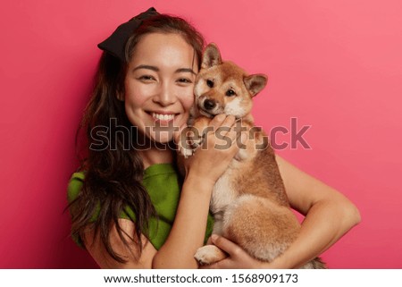 Picture of adorable young girl with toothy smille, embraces and makes photo with beautiful obedient shiba inu dog, enjoys playing with four legged friend. People, animals, relationship concept