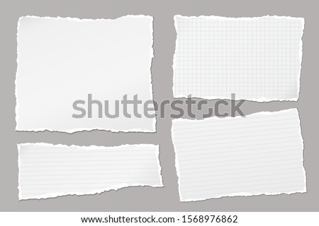 Set of torn white, lined and squared note, notebook paper pieces stuck on grey background. Vector illustration Royalty-Free Stock Photo #1568976862