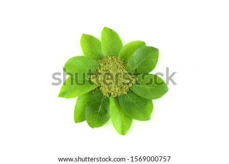 Mehendi or Heena leaves and powder isolated on white background
