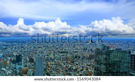 View of the Tokyo seen from the Metropolitan Government Building, Japan