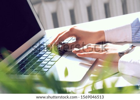 Female hands working on laptop on light background closeup. View from behind the green flower.