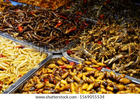 Stall that selling bugs and insect at Lijiang.                       