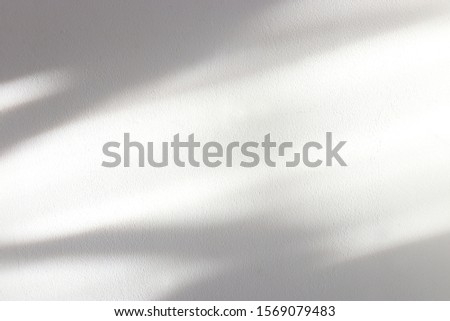background of organic shadow over white textured wall