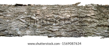horizontal tree trunk isolated on white background with clipping path.