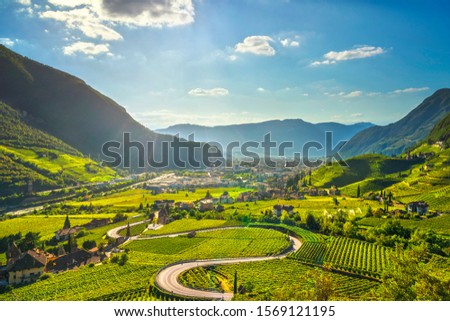 Vineyards view in Santa Maddalena Rencio Bolzano. Trentino Alto Adige Sud Tyrol, Italy, Europe.