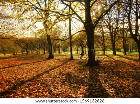 Sunny late Autumn scene in a public park.