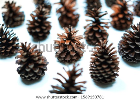 Christmas competition,pine cones and red balls on white background,top view