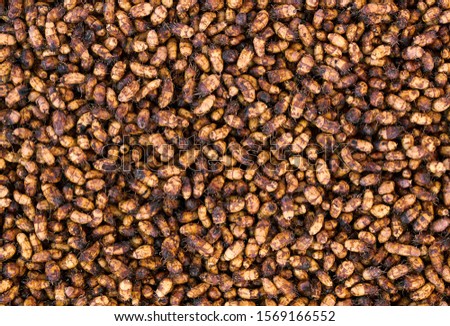Chufa nut sedge textured background, healthy and fresh harvest of earthnut from above flat lay top view, closeup, vegetarian and organic food concept