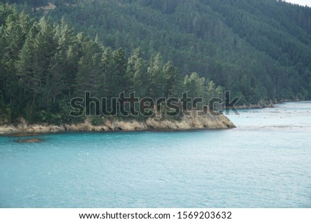 picture showing forest and pure blue water in the cook strait in new zealand