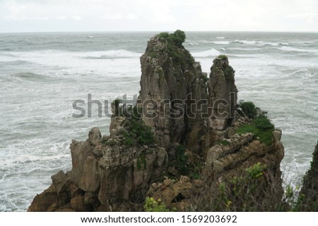 picture showing a single tower formation of the pancake rocks in new zealand