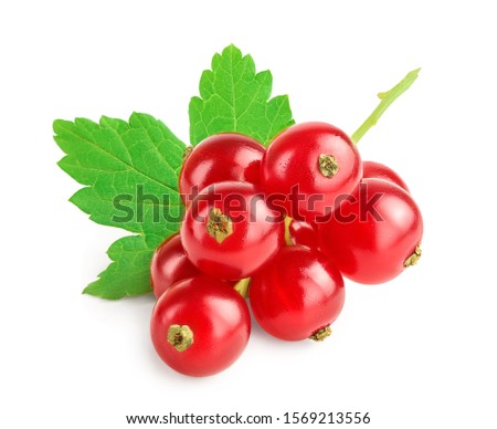 Red currant berries with leaf isolated on white background Royalty-Free Stock Photo #1569213556