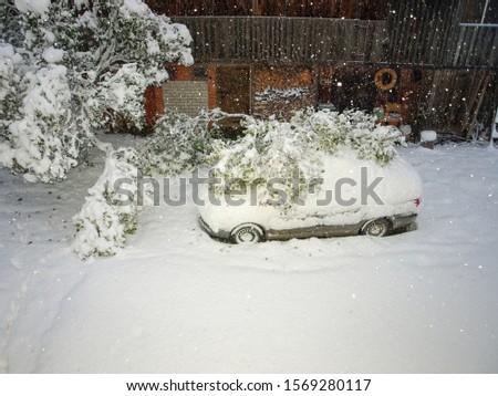 Winter picture with snow covered car. A snowy tree fell on the car. White snow covered the courtyard