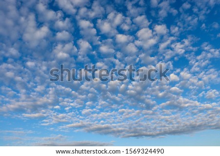 Little altocumulusclouds in the blue sky Royalty-Free Stock Photo #1569324490
