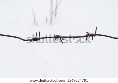 Barbed wire is covered with white pure snow. Close-up. Winter, blurred, white background. Metal protection. Winter cloudy morning. Horizontal photo. Snow-covered fence element. Horizontal photo.