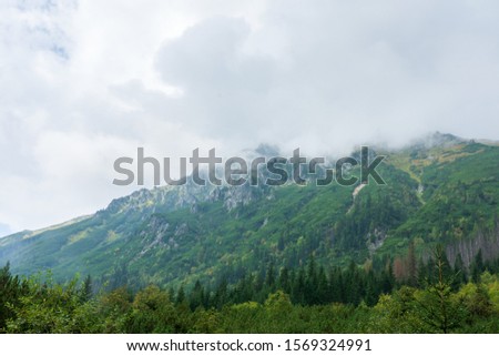 Thick fog over the Tatra mountains in summer.