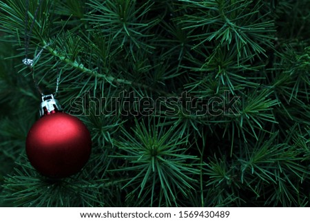 Red Ornament on Christmas Tree