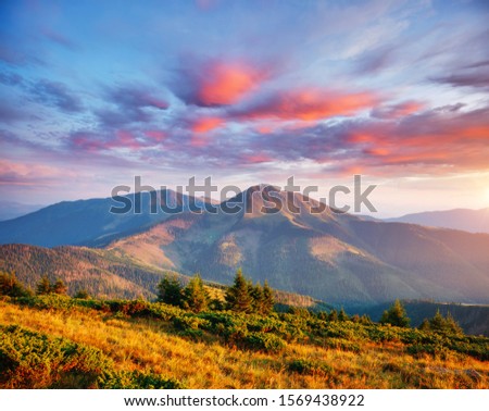 Picturesque sunset in the summer mountains. Location place of Carpathian mountains, Farcau peak, Romania, Europe. Natural wallpaper. Evening light illuminates the valley. Discover the beauty of earth.