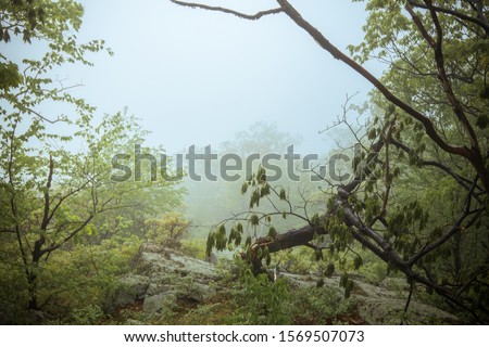 Bear Mountain New York hiking trip photography. Breakneck ridge trails. Foggy mountain top. East coast humidity. Altitude with clouds. Moisture in sky. Beautiful trail and hiking path.