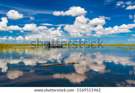Blue skies are reflected in the still waters of the everglades while tourists take airboat rides to visit aligators in the wild Royalty-Free Stock Photo #1569511462